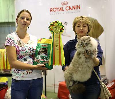 �������� ����� '���-�����-��������' 20-21 �������� 16-96-169A2383 copy.jpg